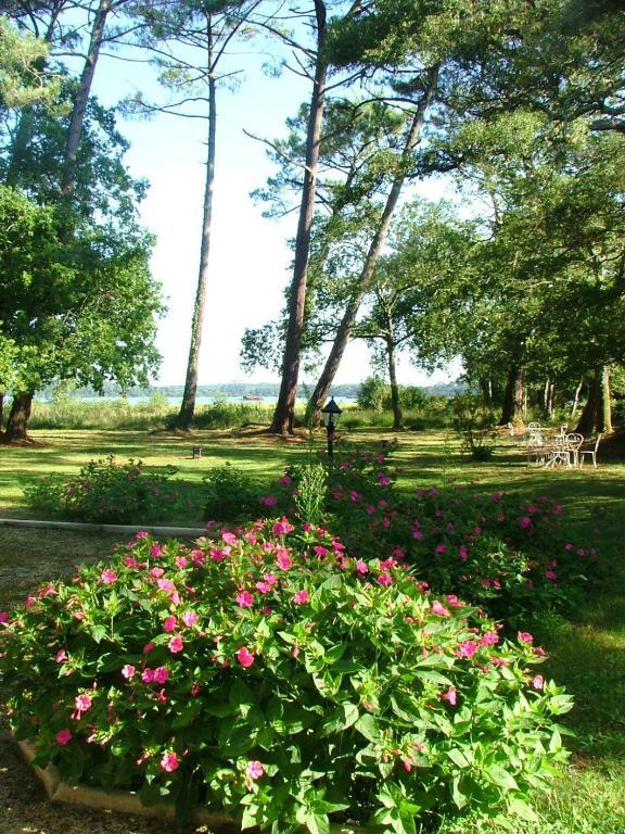 Villa De L'Etang Blanc Сеньос Екстериор снимка