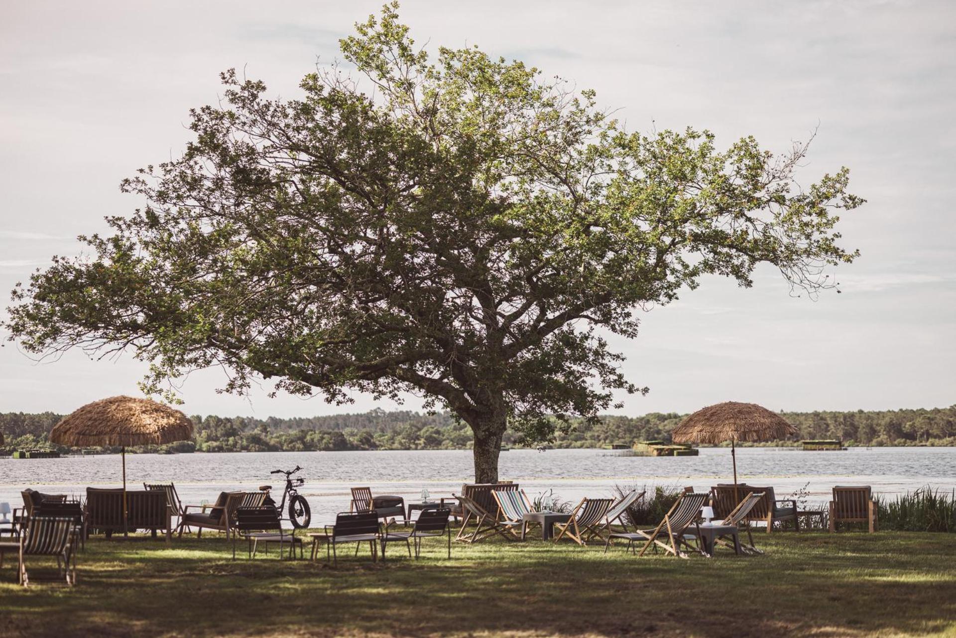 Villa De L'Etang Blanc Сеньос Екстериор снимка