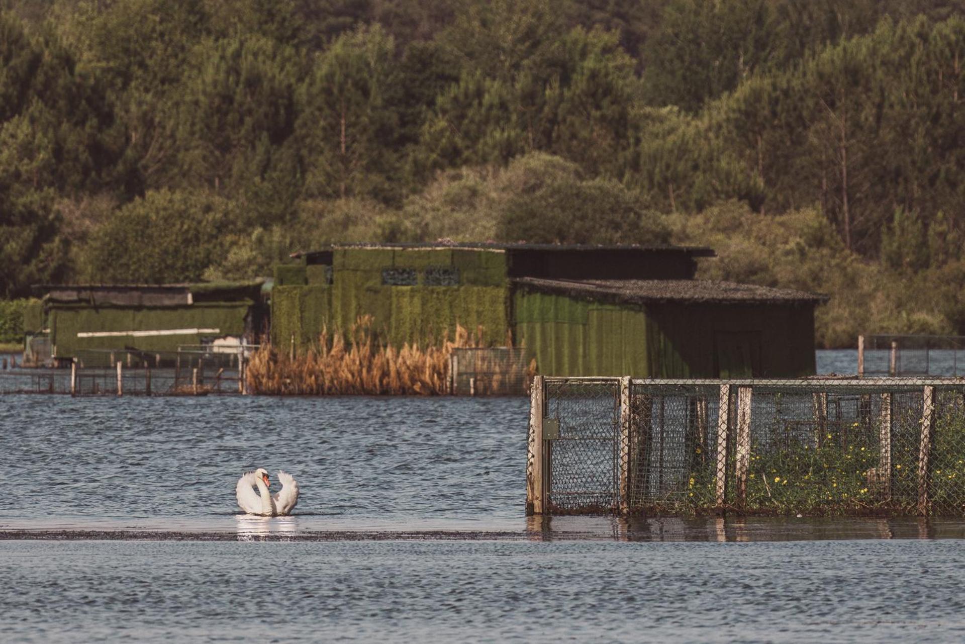 Villa De L'Etang Blanc Сеньос Екстериор снимка